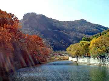 澳门二四六天天彩图库，迪庆物流